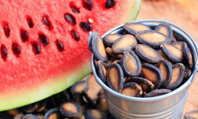 Watermelon Seeds