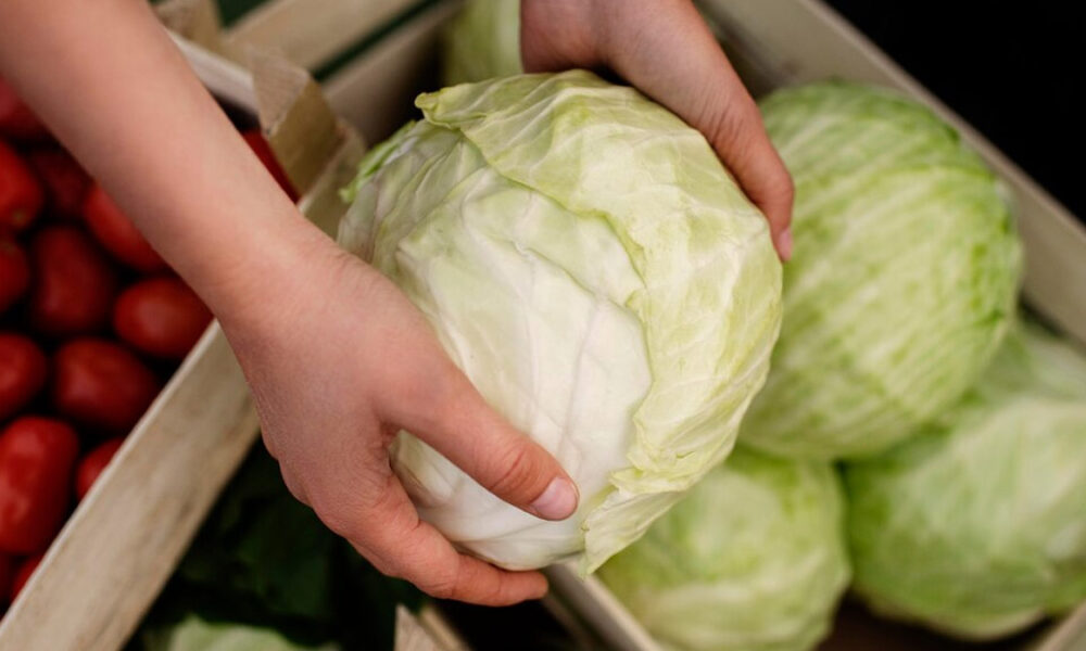 Cabbage